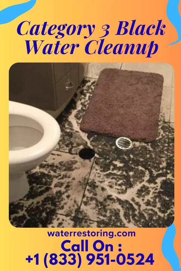 Category 3 Black Water Cleanup in West Bay Shore, NY