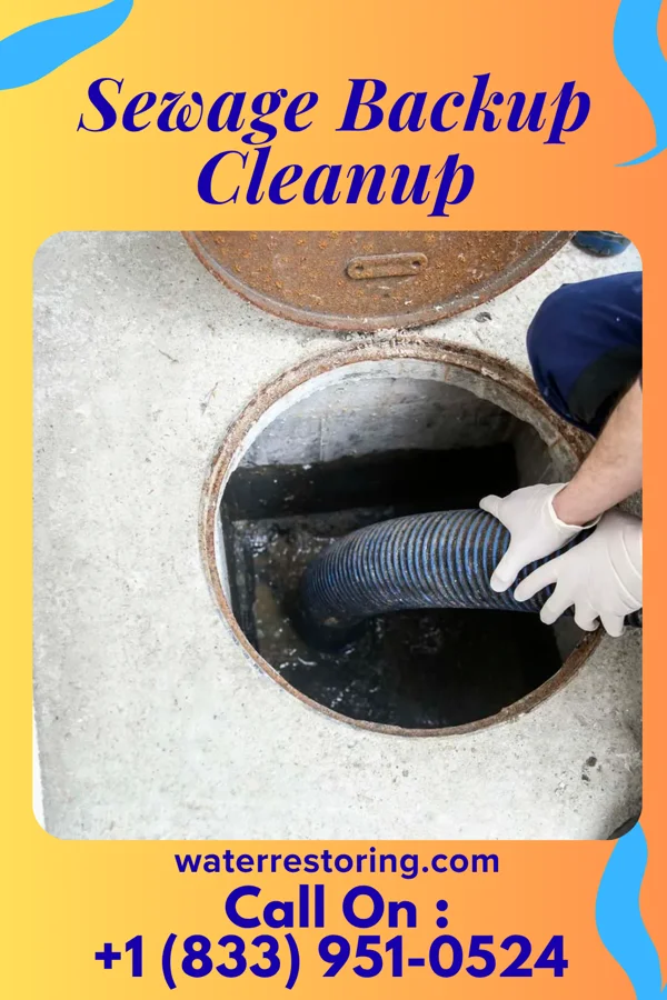 Sewage Backup Cleanup in West Bay Shore, NY